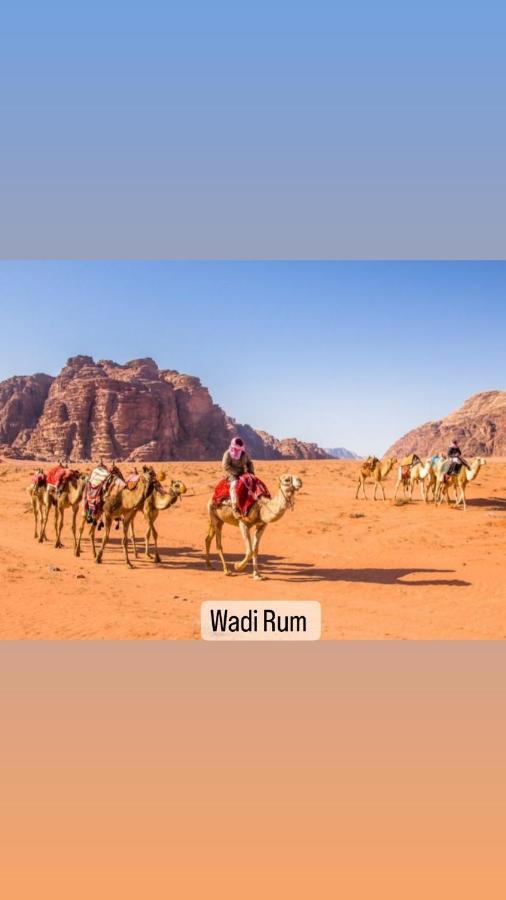 Luxury tent Wadi Delight Camp Wadi Rum