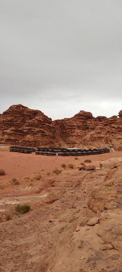 Luxury tent Wadi Delight Camp