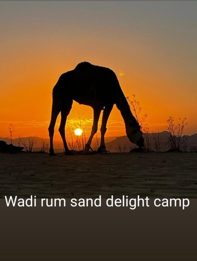 Luxury tent Wadi Delight Camp *
