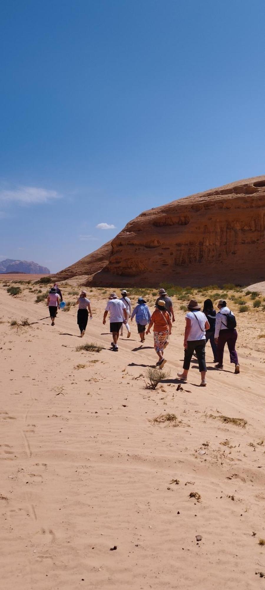 Luxury tent Wadi Delight Camp *